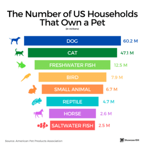 real estate infographic number of US households that own a pet